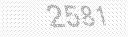 Visual security code — type the characters shown in the image